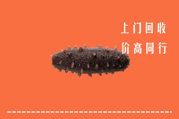 涵江区高价回收海参